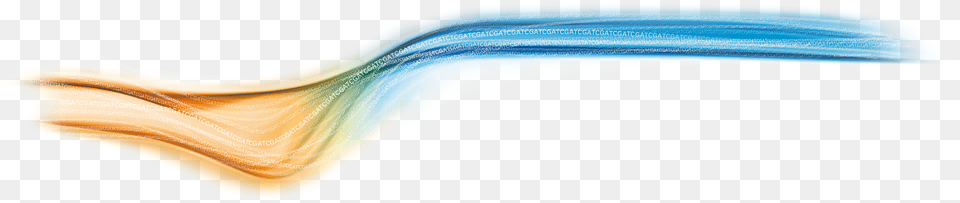 Multi Color Waves, Art, Graphics, Animal, Invertebrate Free Transparent Png