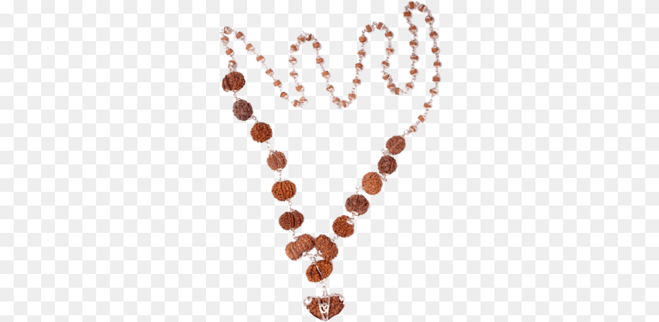 Multi Combination Multiple Purpose Rudraksha Mala 15 Rudraksha, Accessories, Bead, Bead Necklace, Jewelry Free Png