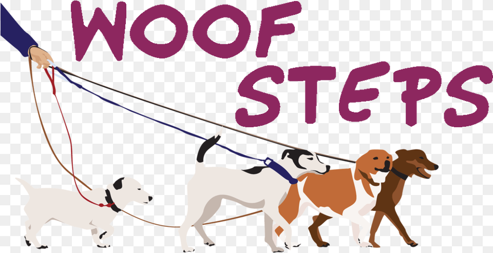 Multi Dog Walking Leash, Accessories, Strap, Animal, Canine Free Png Download