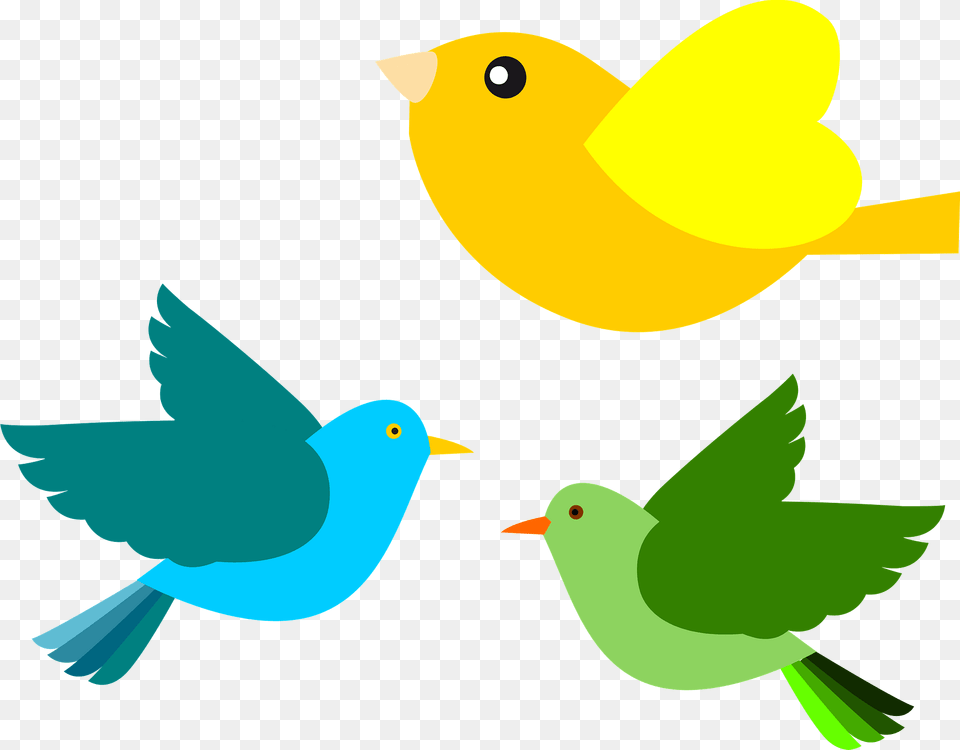 Multicolored Birds Clipart, Animal, Bird, Fish, Sea Life Png Image