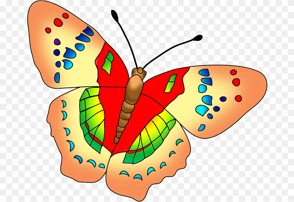 Multicolored Butterfly Image Beautiful Butterfly Clip Art, Face, Head, Person, Animal Free Png Download