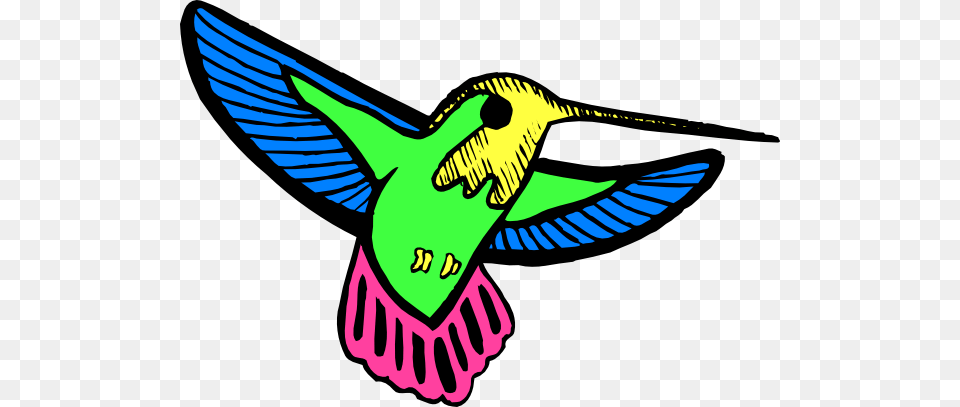 Multicolored Hummingbird Clip Art, Animal, Bird, Fish, Sea Life Free Png Download