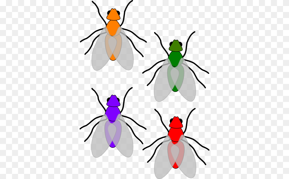 Multicoloured Flies Clip Art, Animal, Fly, Insect, Invertebrate Free Transparent Png