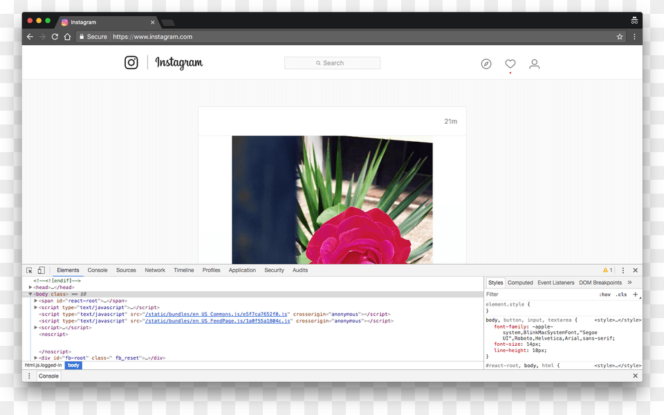 Multimedia Software, Webpage, File, Flower, Rose Png