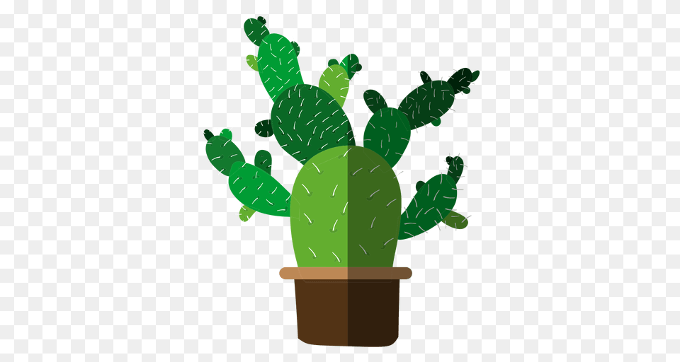 Multiple Flat Cactus Pot Drawing, Plant, Animal, Reptile, Sea Life Png