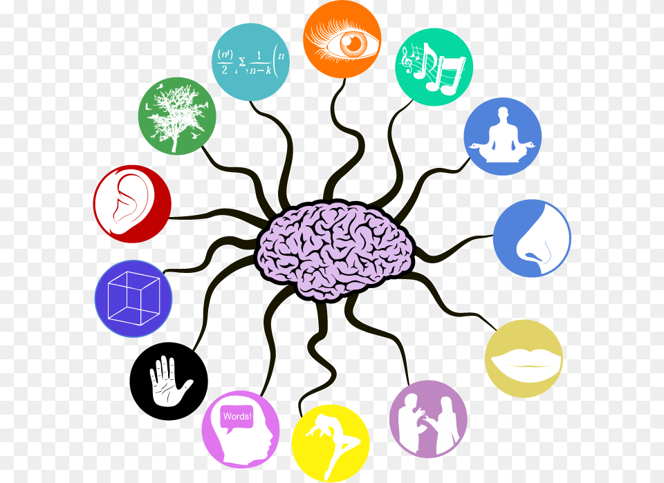 Multiple Intelegences Clipart Brain Memory, Art, Graphics, Animal, Sea Life Free Transparent Png