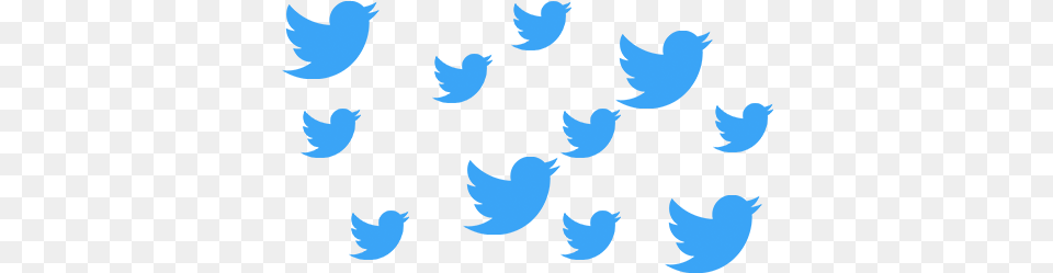 Multiple Twitter Accounts Twitter Birds Transparent, Person, Electronics, Hardware, Face Free Png