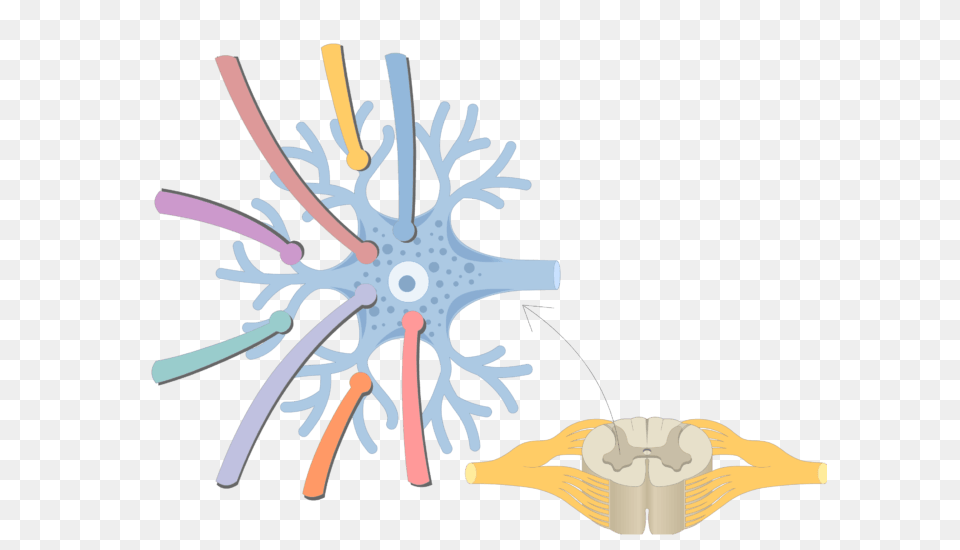 Multipolar Neurons, Nature, Outdoors, Snow Png