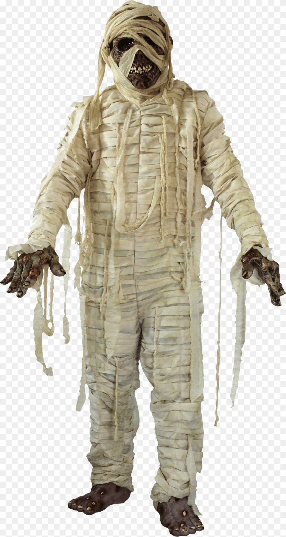 Mummy, Adult, Person, Man, Male Free Png Download