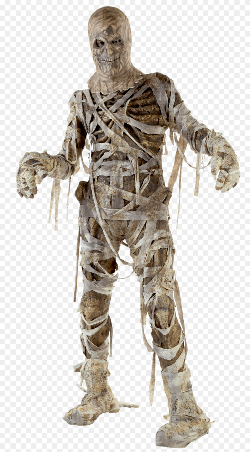 Mummy, Adult, Male, Man, Person Free Transparent Png