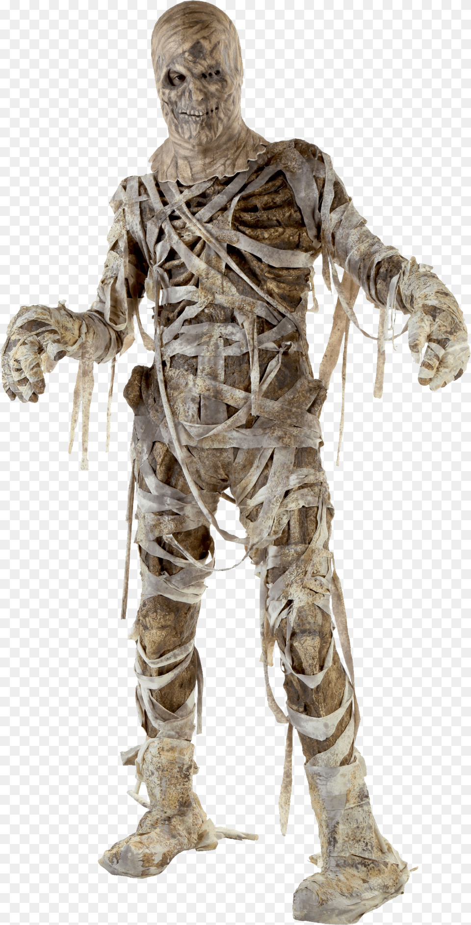 Mummy, Adult, Male, Man, Person Free Png