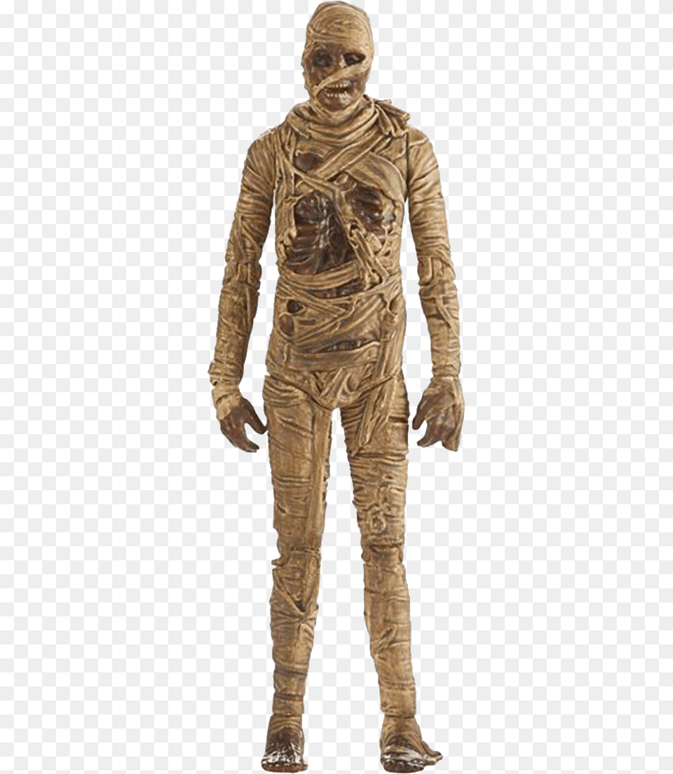 Mummy, Bronze, Adult, Man, Male Free Transparent Png