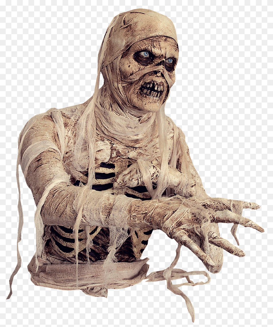 Mummy, Adult, Wedding, Person, Female Png