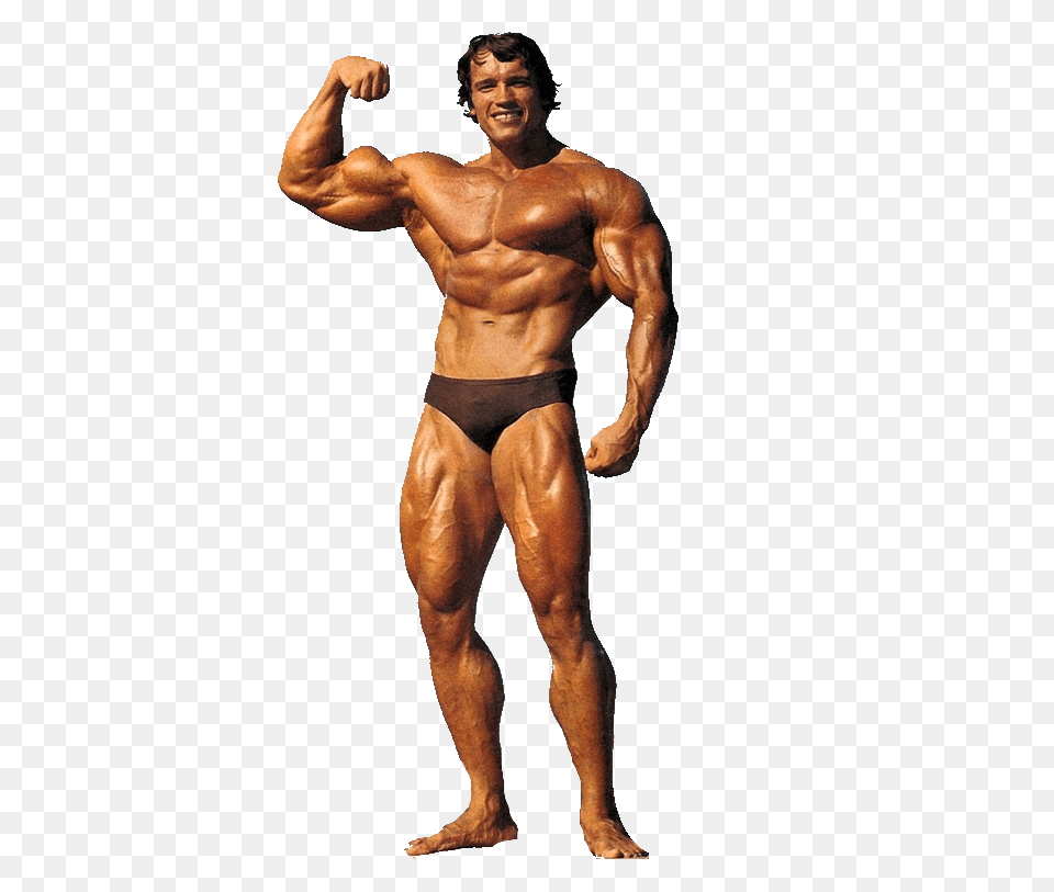 Mundo Arnold Schwarzenegger, Adult, Male, Man, Person Png Image