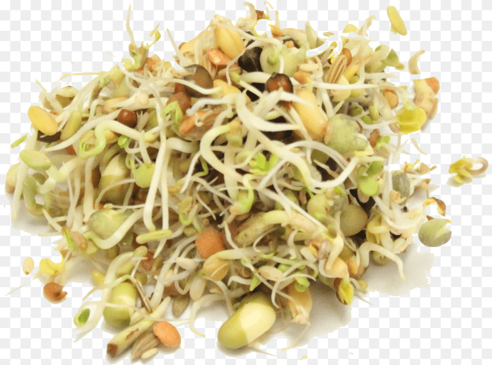 Mung Bean, Bean Sprout, Food, Plant, Produce Free Transparent Png