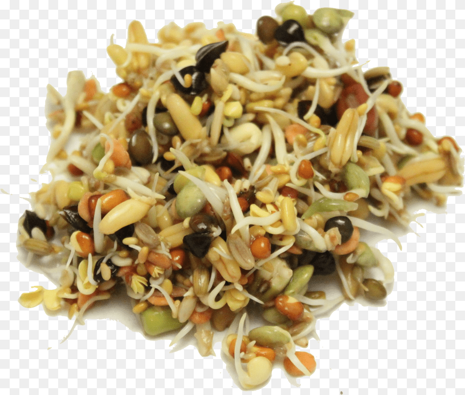 Mung Bean, Bean Sprout, Food, Plant, Produce Png