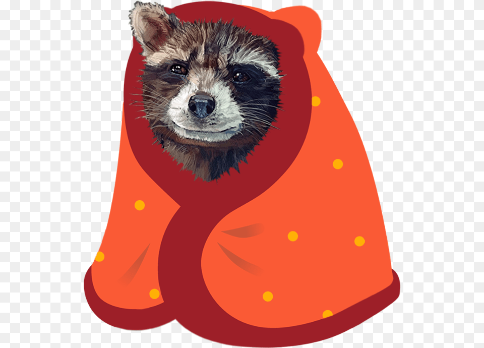 Munin Blanket Discord Emoji, Animal, Mammal, Bird, Raccoon Free Png