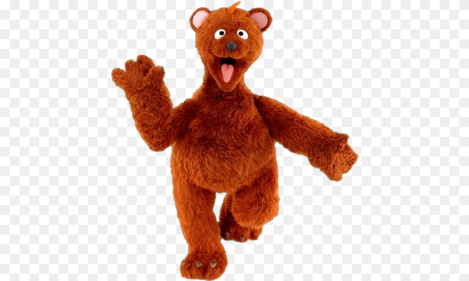 Muppet Wiki Baby Bear From Sesame Street, Teddy Bear, Toy, Plush Free Transparent Png