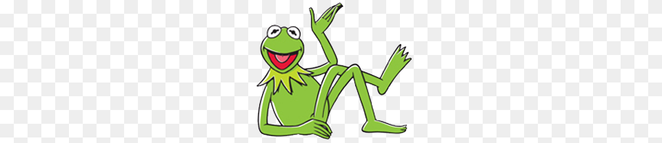 Muppets Kermit, Amphibian, Wildlife, Frog, Animal Free Transparent Png