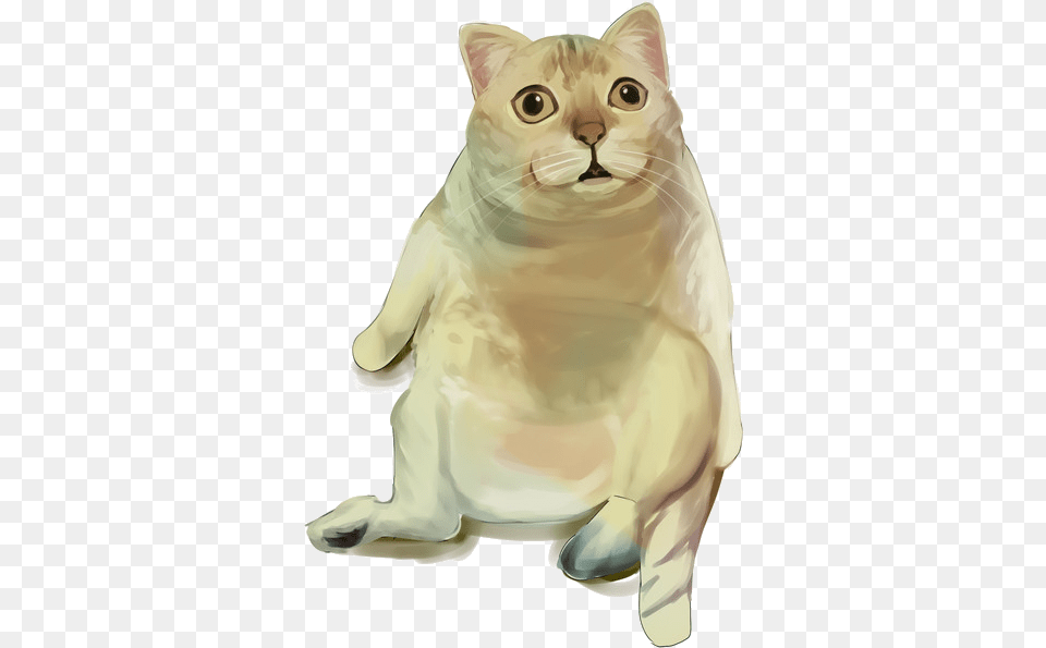 Mur, Animal, Cat, Mammal, Pet Free Transparent Png