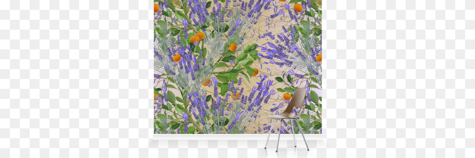 Murals Of Floral Explosion By Michael Angove Camomile, Chair, Plant, Flower, Furniture Free Transparent Png