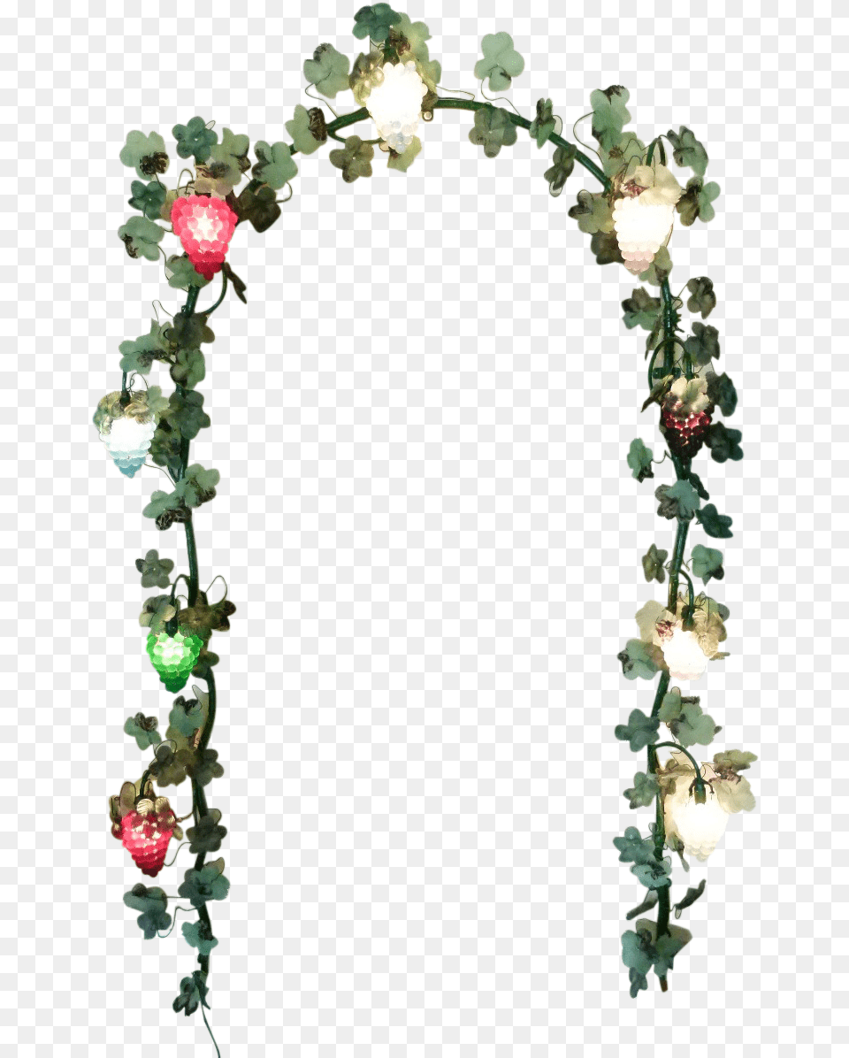 Murano Arch Wall Light With Bunches Of Grapes Garden Roses, Architecture, Plant Png