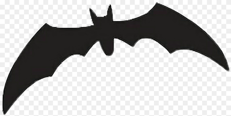 Murcielago Bat Black Halloween Nochedebrujas Pipistrelli Bat, Animal, Mammal, Wildlife, Baby Png