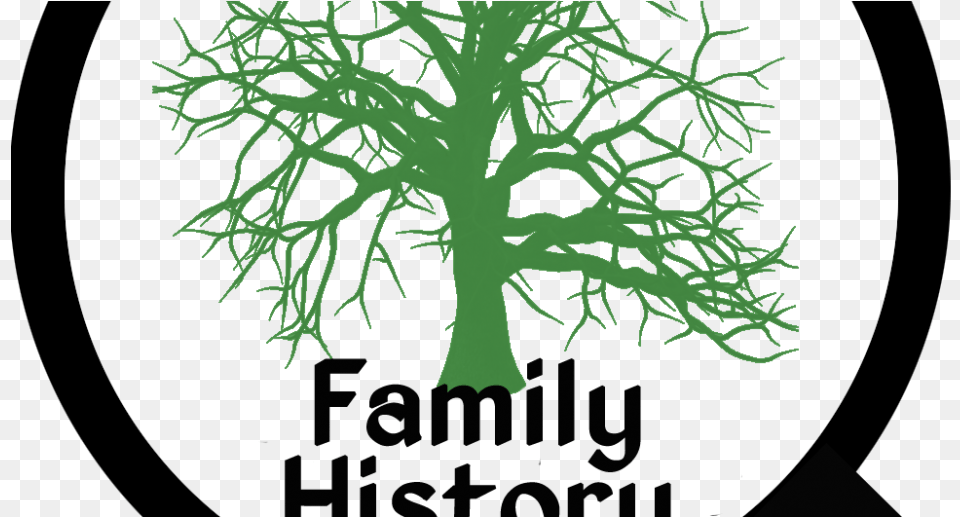 Murphy Family Reunion Includes Review Of Family History Genealogy Transparent, Plant, Tree, Moss Png Image
