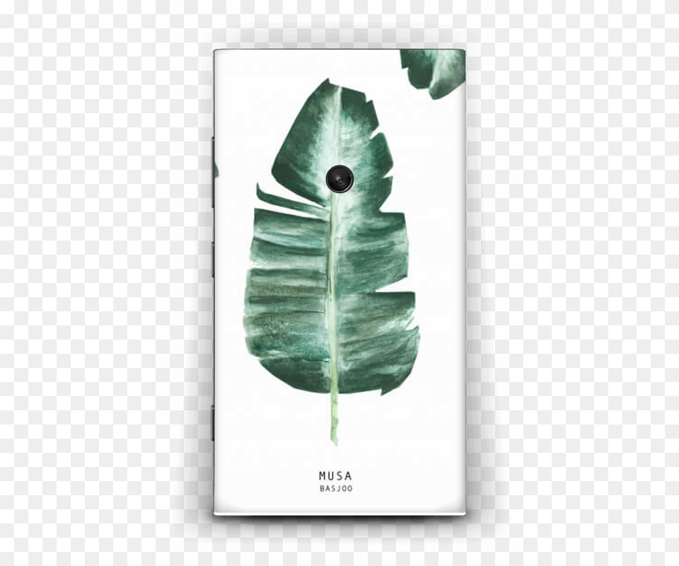 Musa Basjoo Macbook Pro 13 Inch, Leaf, Plant, Flower, Petal Free Transparent Png