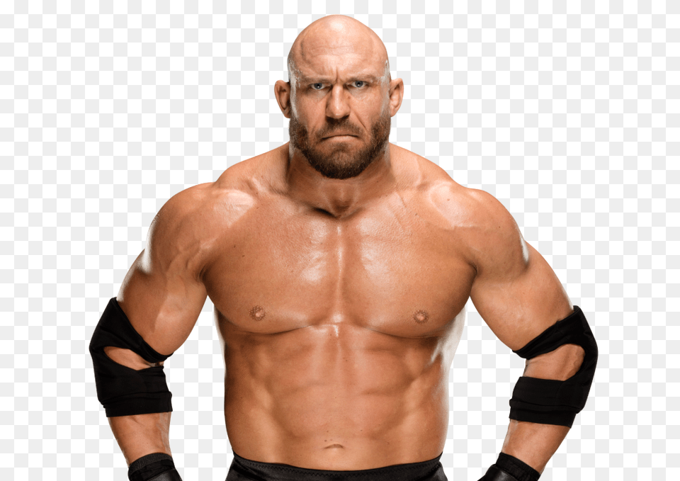 Muscle, Adult, Male, Man, Person Free Png