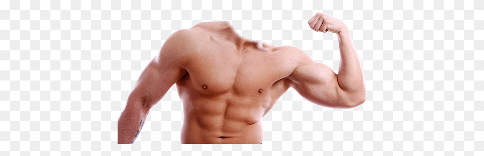 Muscle, Hand, Person, Back, Body Part Free Transparent Png