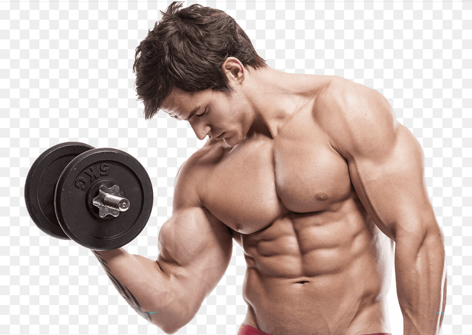 Muscle, Adult, Person, Man, Male Free Png