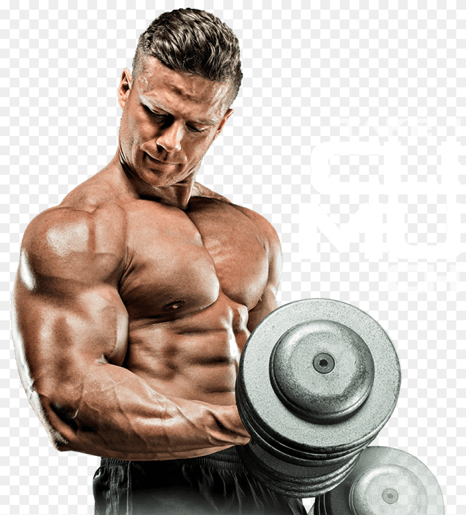 Muscle, Adult, Person, Man, Male Png