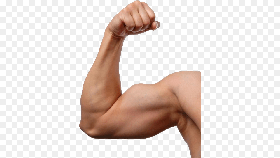 Muscle, Arm, Body Part, Person, Baby Free Png