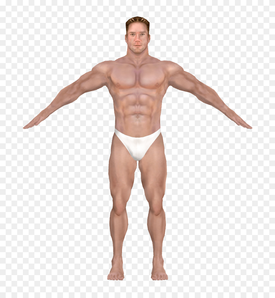 Muscle, Adult, Male, Man, Person Free Png