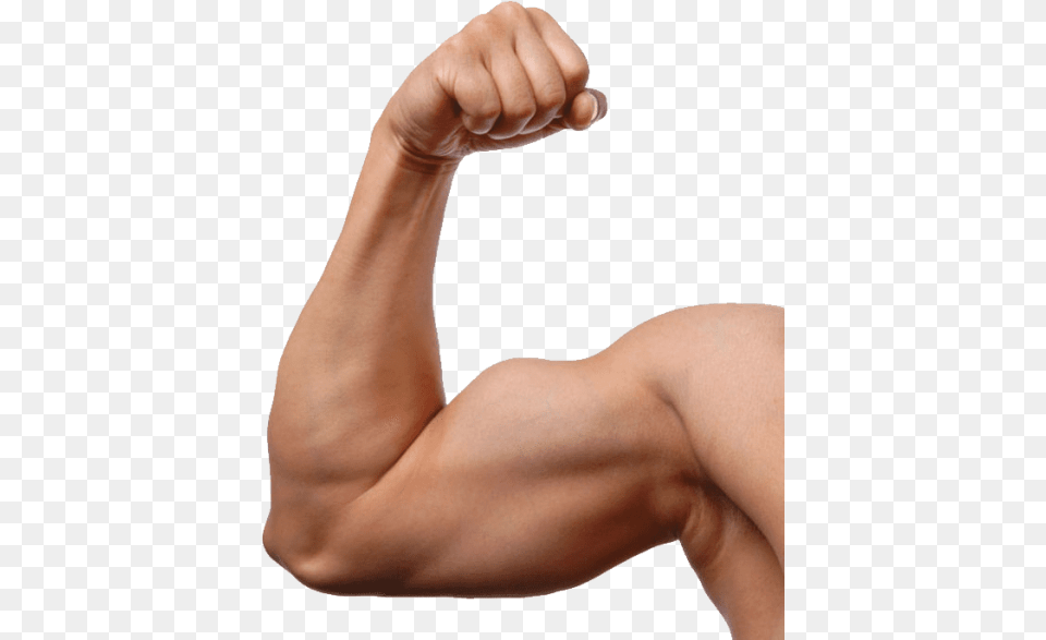 Muscle, Arm, Body Part, Person, Adult Free Transparent Png