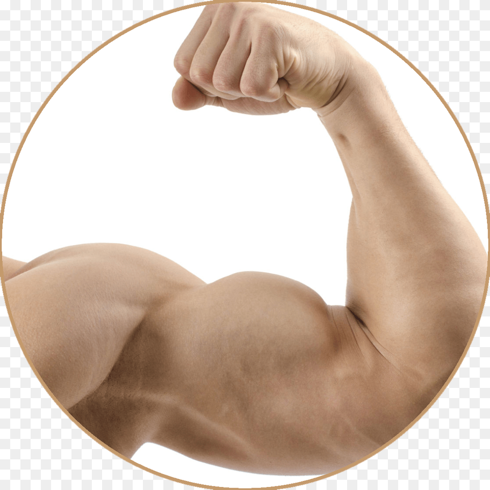 Muscle, Arm, Body Part, Finger, Hand Free Transparent Png