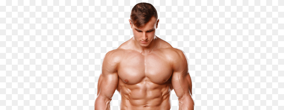 Muscle, Adult, Male, Man, Person Png