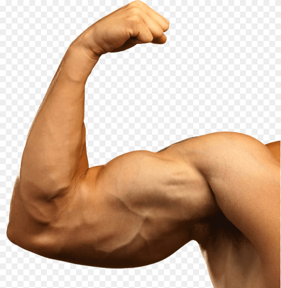 Muscle, Arm, Body Part, Person, Baby Free Png Download