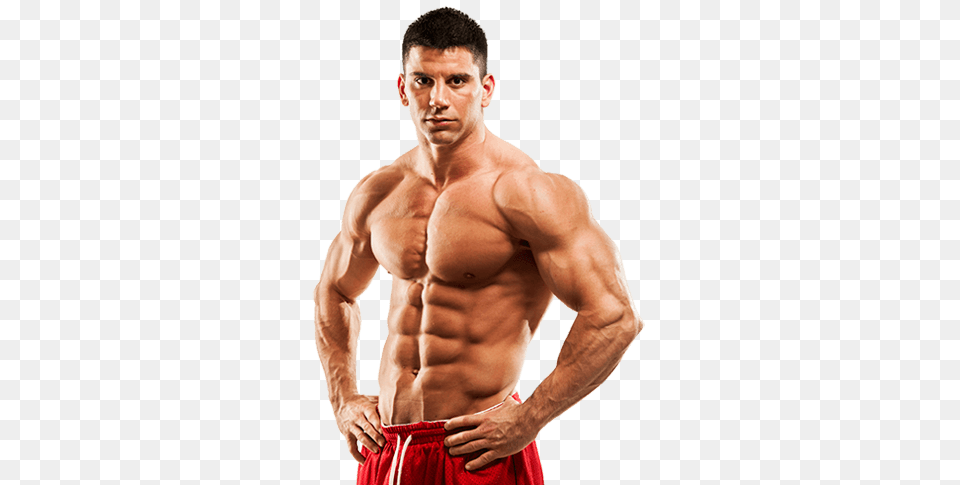 Muscle, Adult, Male, Man, Person Free Png Download