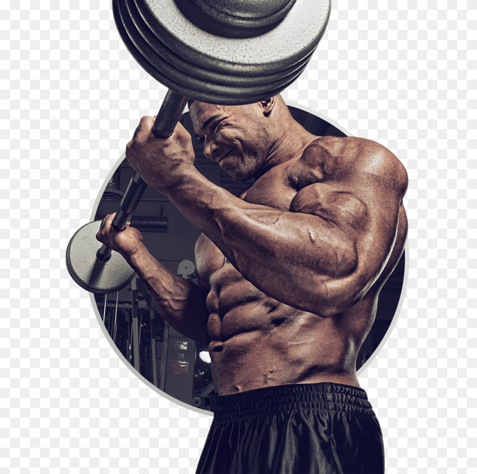 Muscle, Adult, Person, Man, Male Png