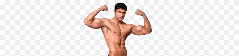 Muscle, Arm, Body Part, Person, Adult Free Png Download