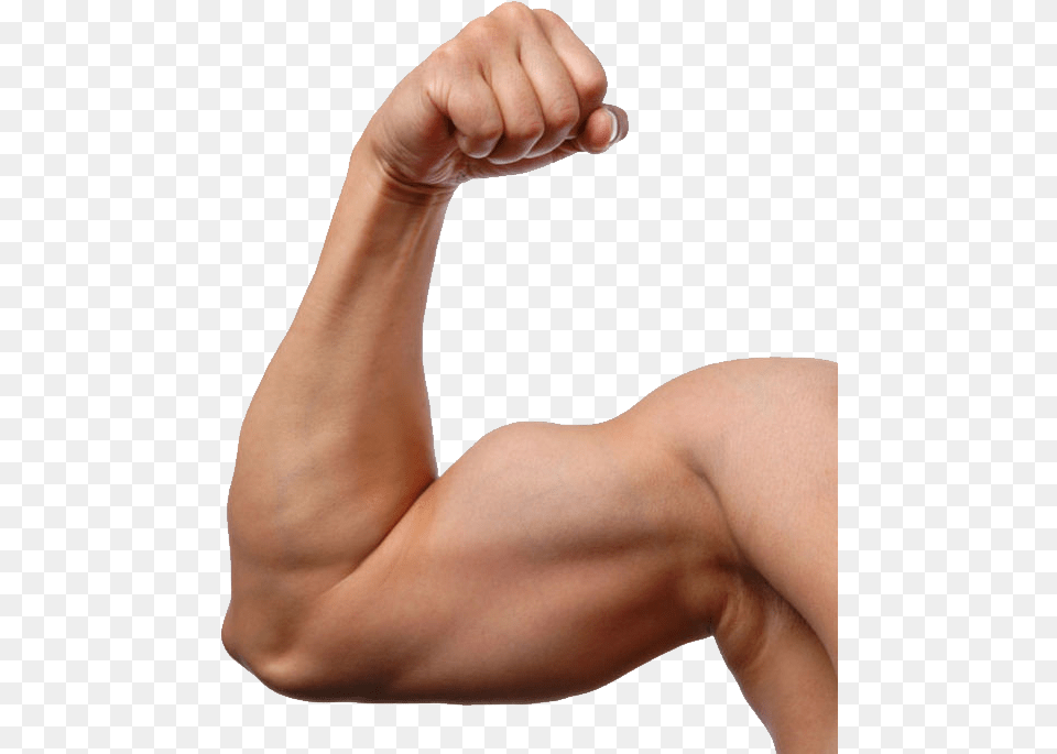 Muscle, Arm, Body Part, Person, Baby Free Transparent Png