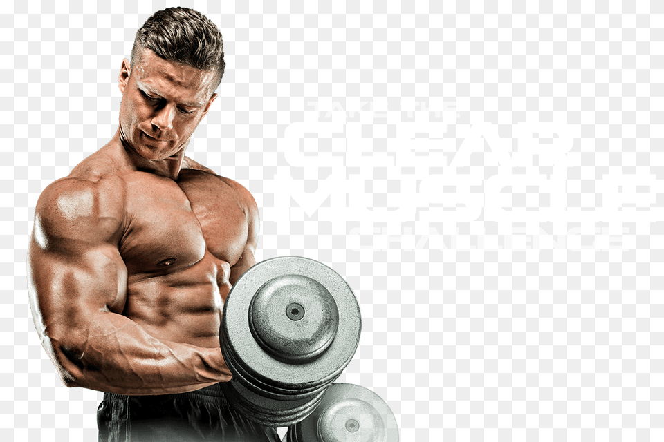 Muscle, Adult, Person, Man, Male Free Png