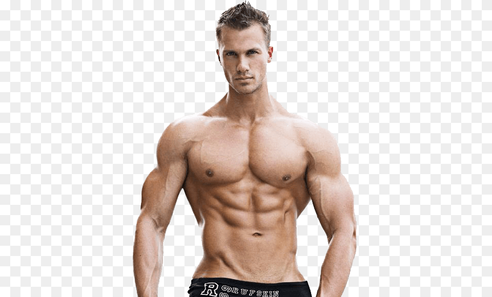 Muscle, Adult, Male, Man, Person Free Png Download