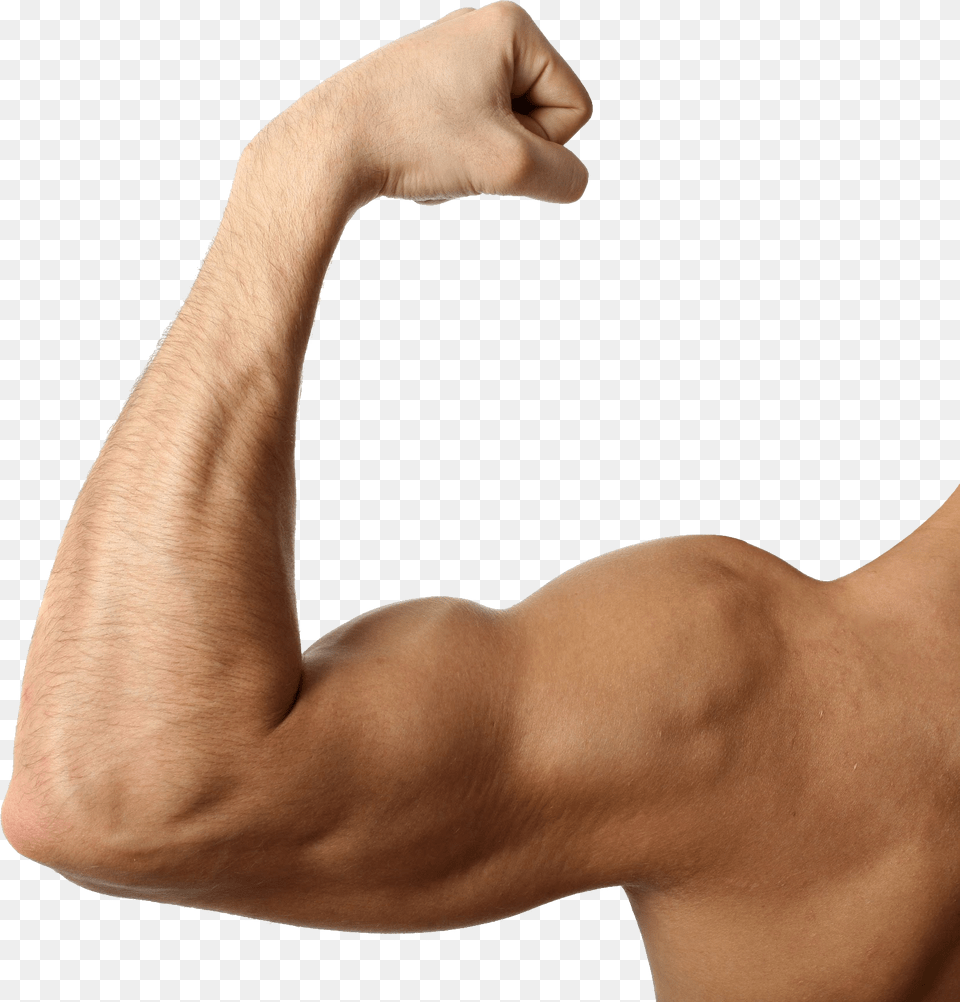 Muscle, Arm, Body Part, Person, Adult Free Png