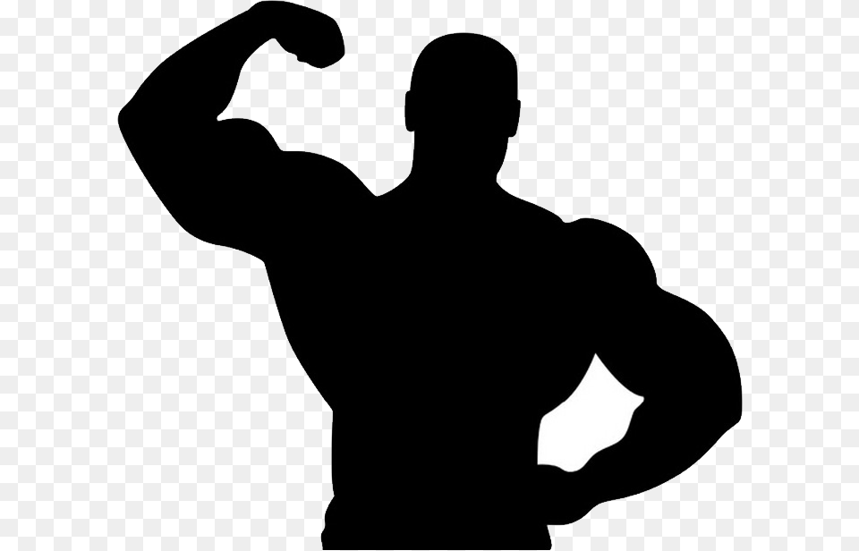 Muscle, Silhouette, Adult, Male, Man Png