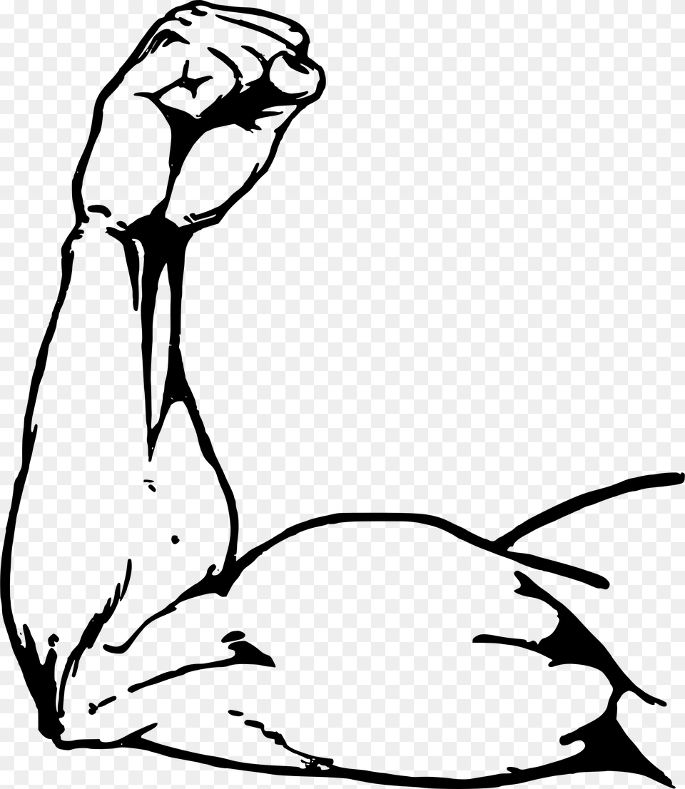 Muscle Arm Clip Art, Gray Free Png Download