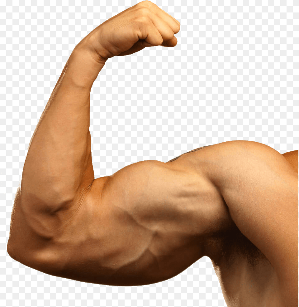 Muscle Arms Big Arm Muscles, Body Part, Person, Skin, Adult Free Png