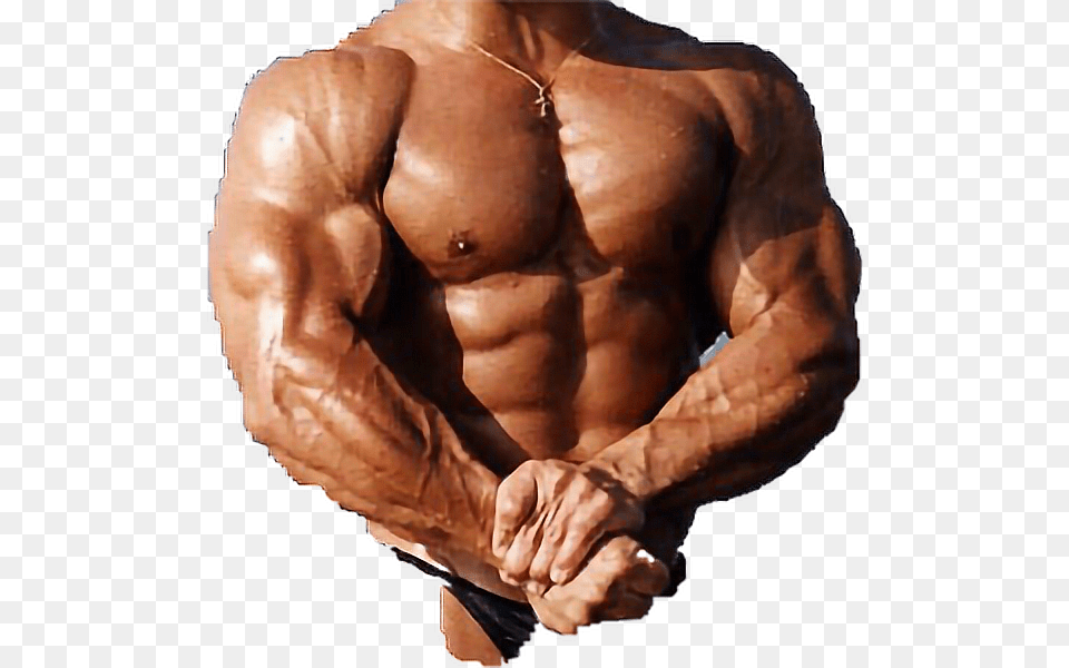 Muscle Body Male Strong Ripped Bod Dadbod Freetoedit Gnome Bodybuilder, Person, Skin, Adult, Man Png Image